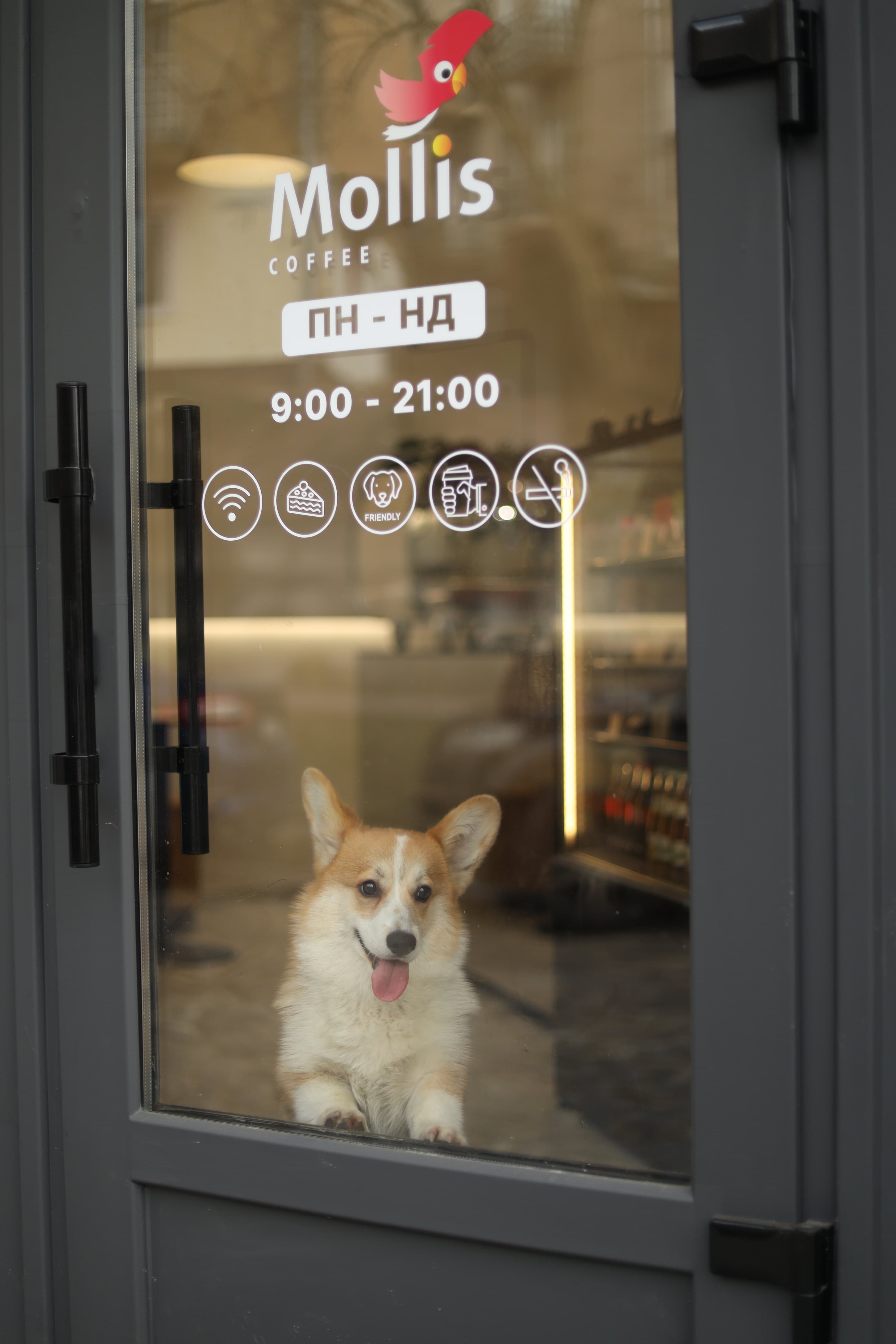 Mollis Кубійовича - 2